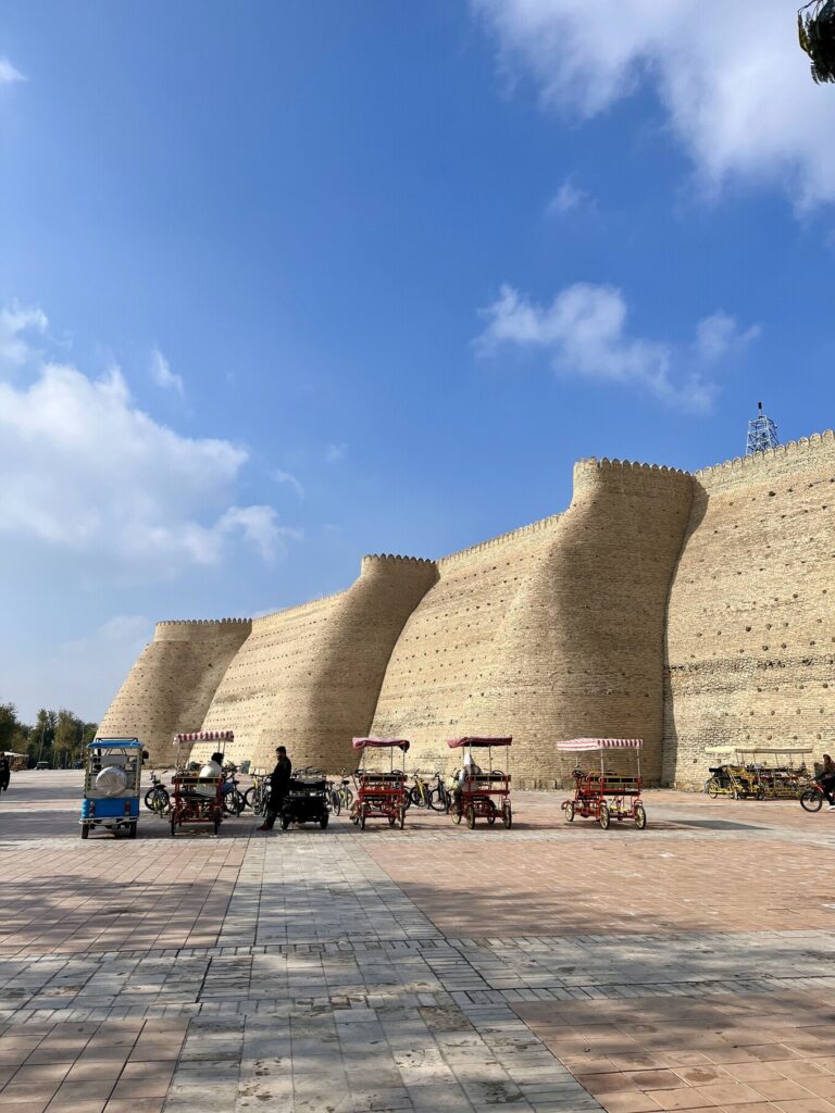 ark of bukhara